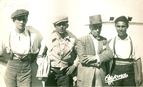 toros